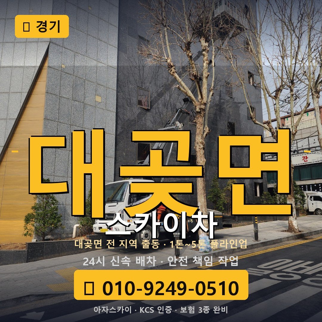 경기 대곶면 스카이차 - 아자스카이