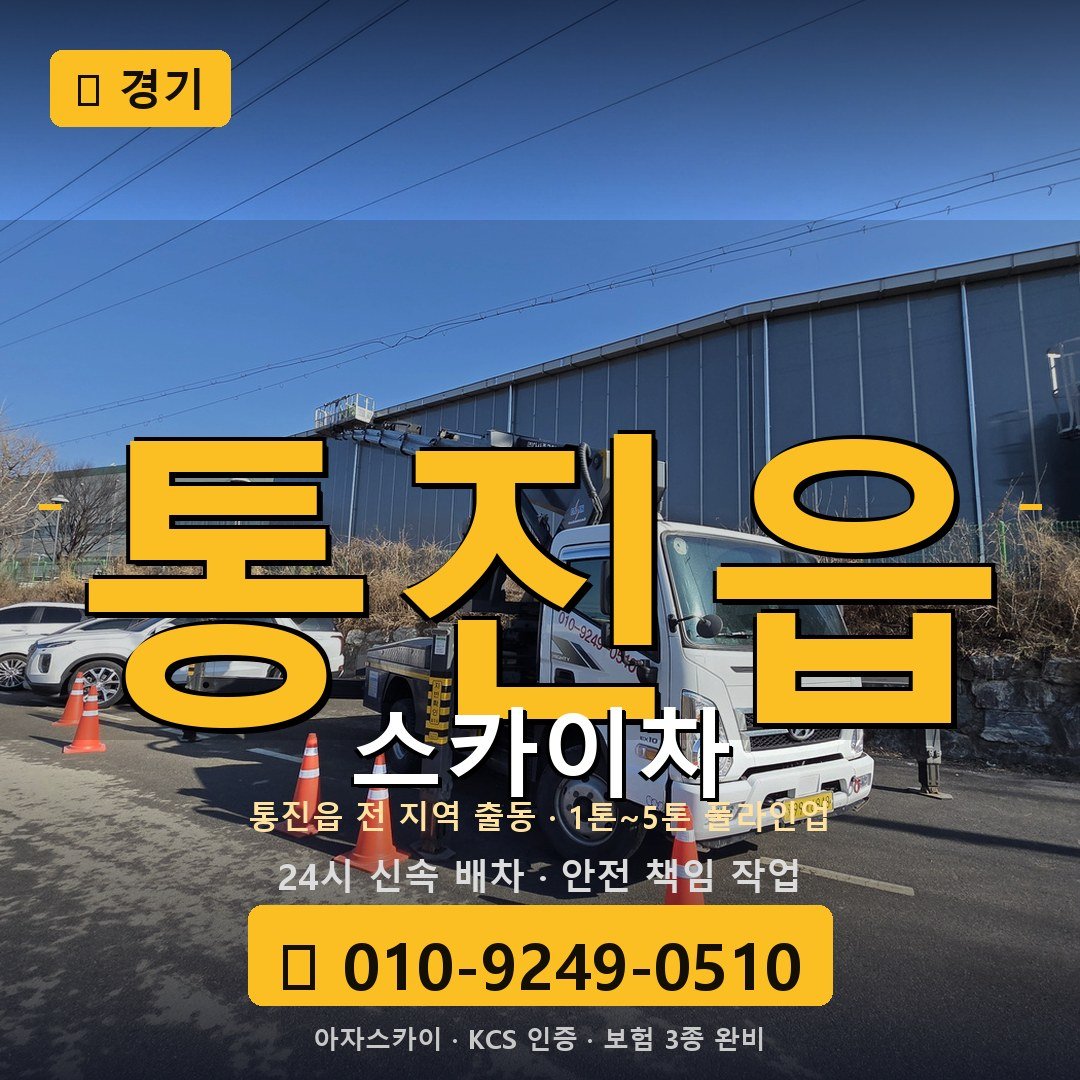 경기 통진읍 스카이차 - 아자스카이