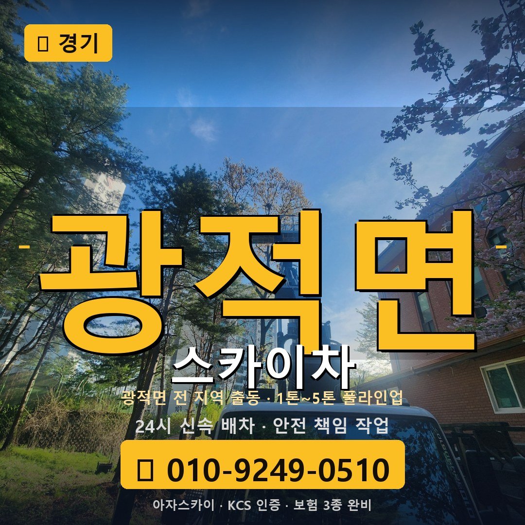 경기 광적면 스카이차 - 아자스카이