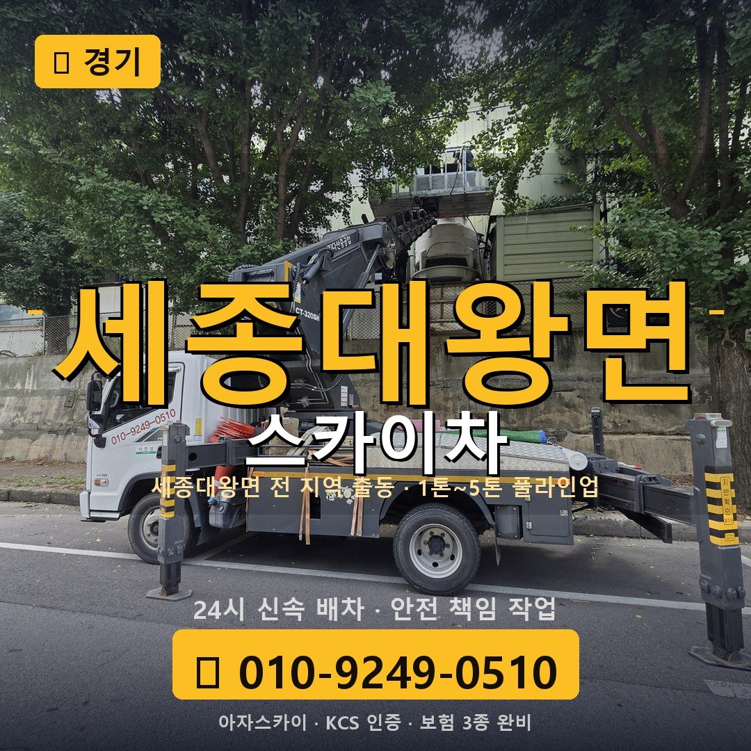 경기 세종대왕면 스카이차 - 아자스카이