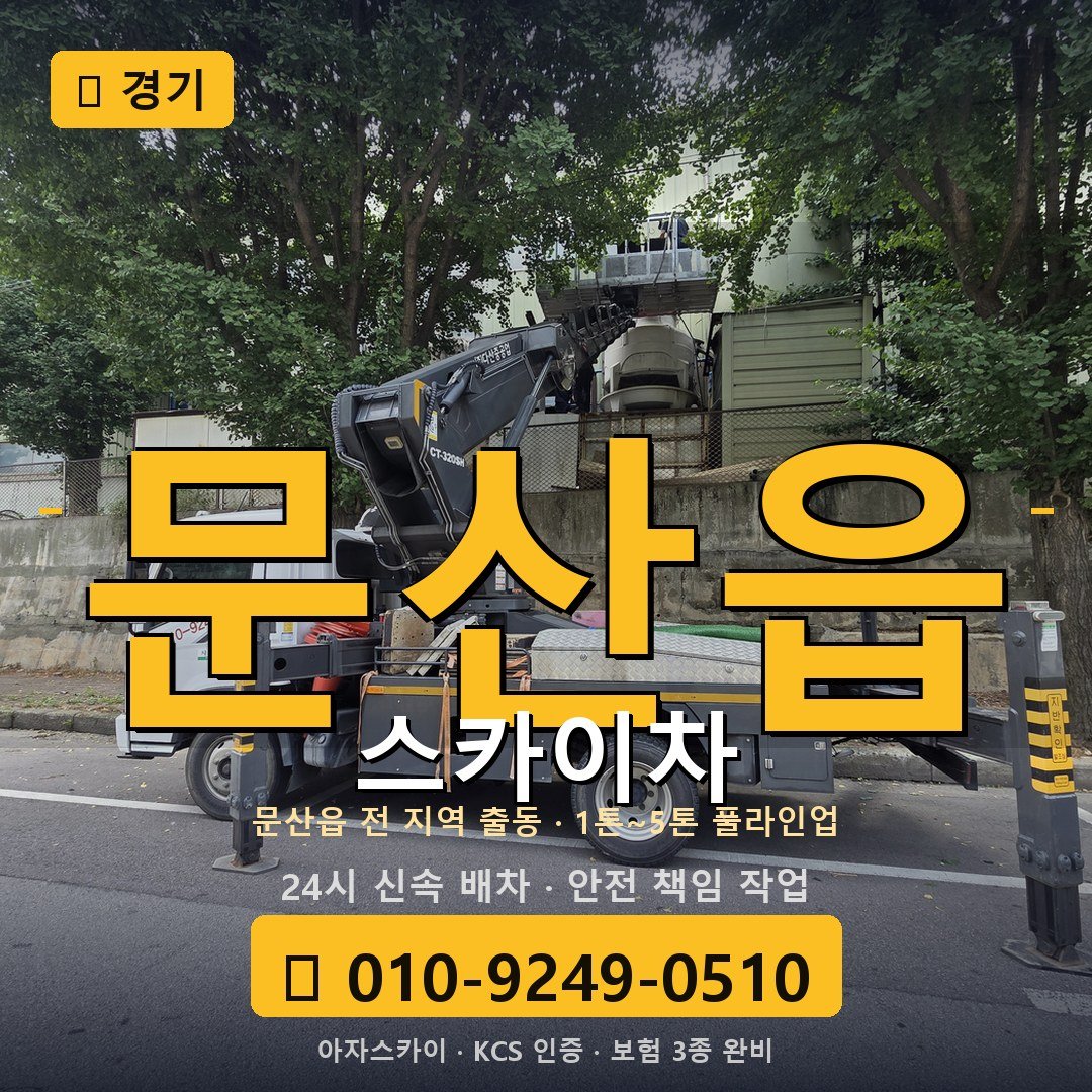 경기 문산읍 스카이차 - 아자스카이