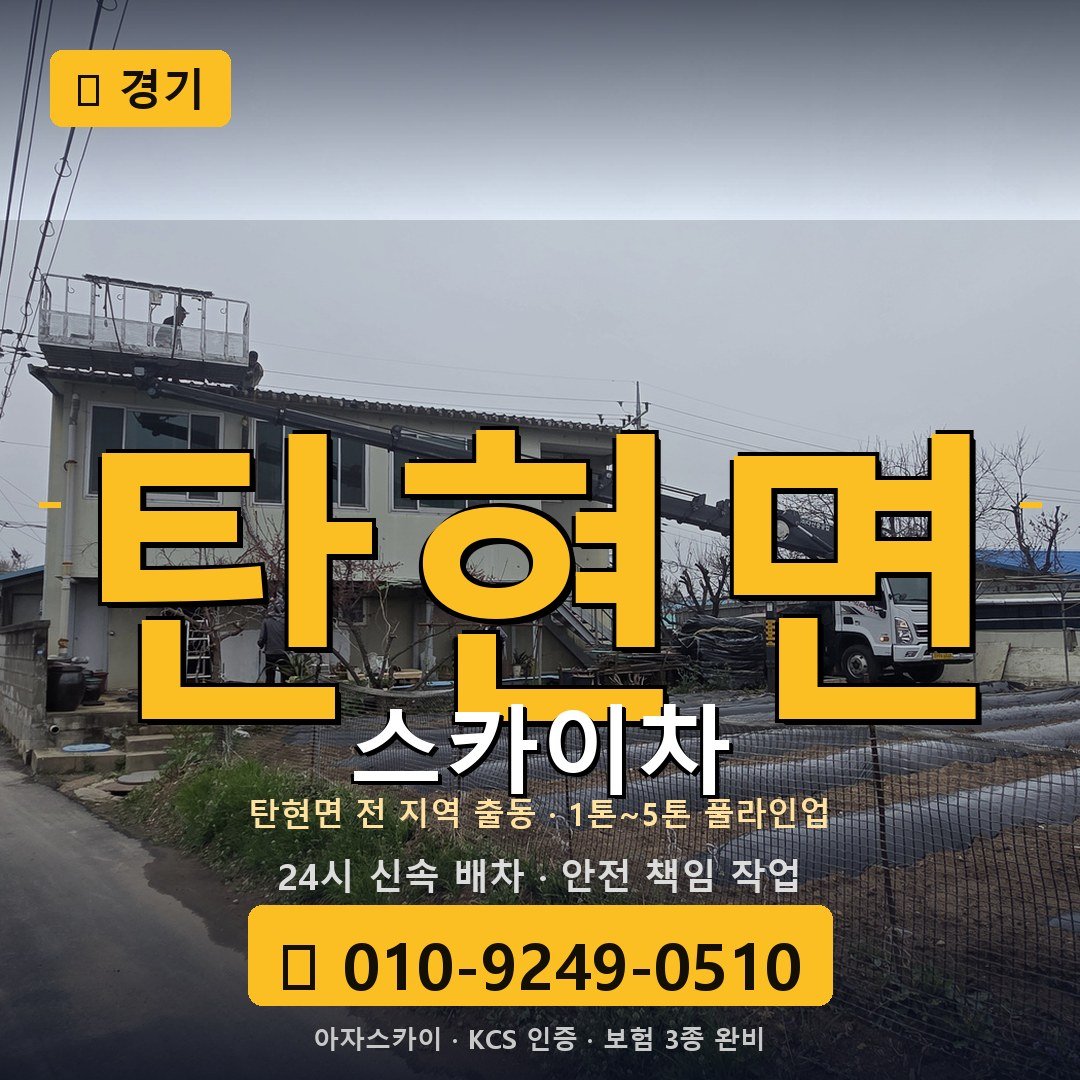 경기 탄현면 스카이차 - 아자스카이