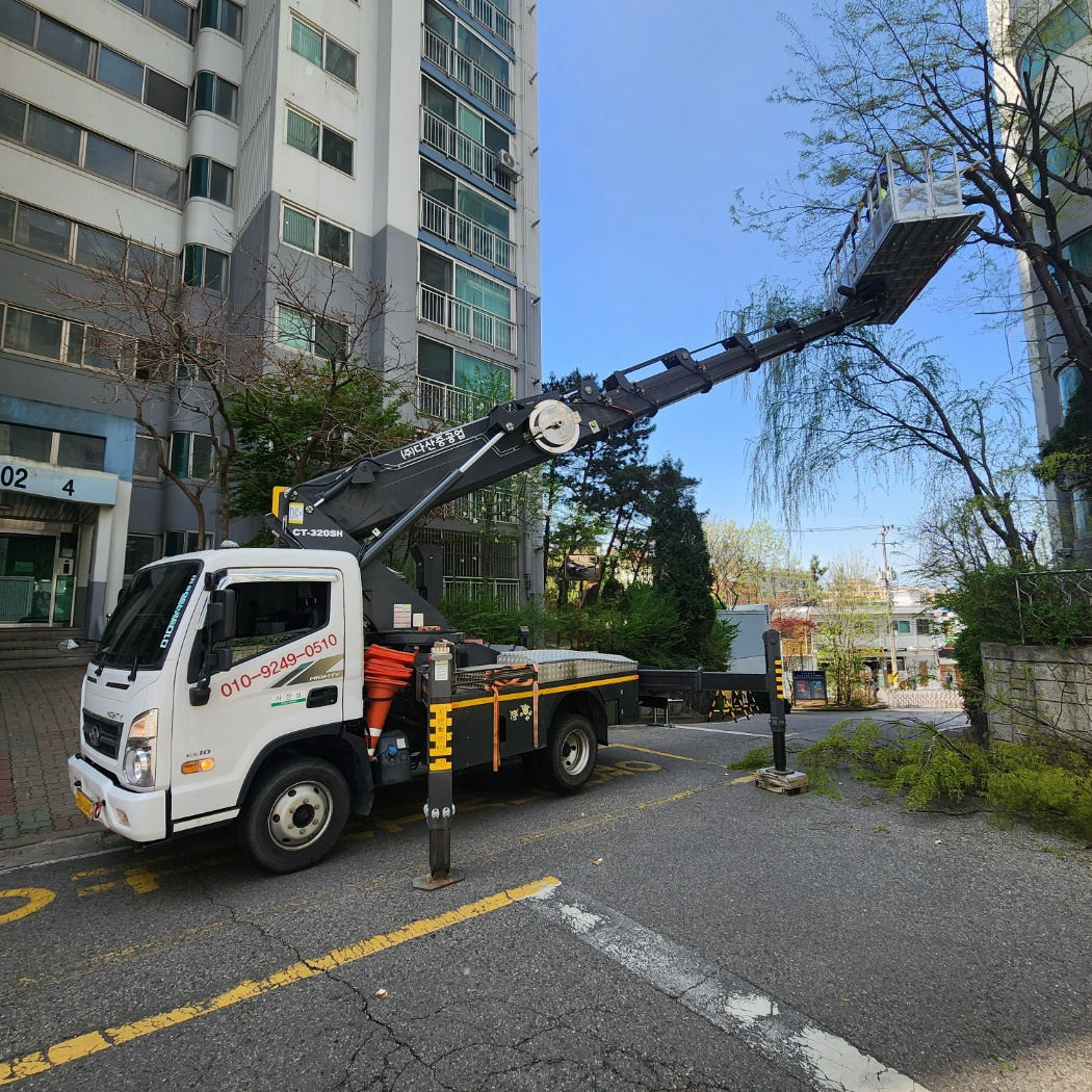 경기 야당동 가로수 전지 스카이차 작업