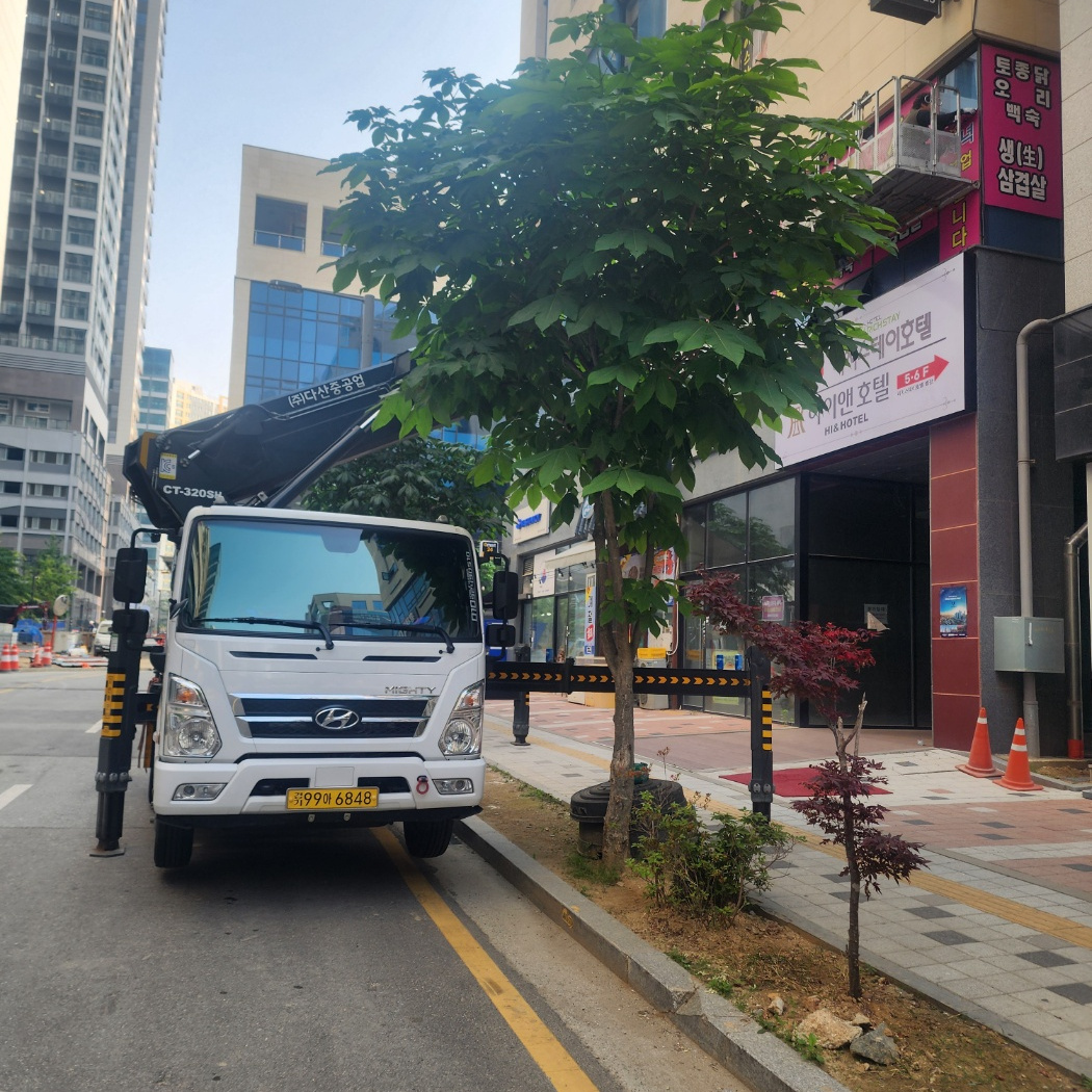 경기 연천군 가로수 전지 스카이차 작업